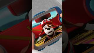 PAW Patrol ¡Al de Big Truk Pup le pide ayuda a Ryder  Nick Jr en Español [upl. by Salvay]