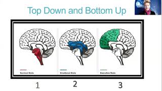 BottomUp Treatment Approaches to Trauma Treatment [upl. by Milone278]