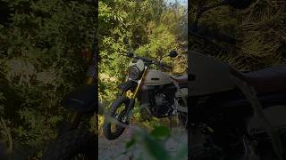 Fantic Caballero 500 Rally ASMR🔊 [upl. by Eecak833]