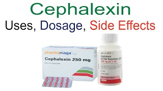 Cephalexin Cefalexin Uses Dose and Side Effects [upl. by Brandwein]