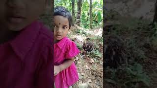 Manikutty rocks karinkali chakkara mybabygirl love [upl. by Alilak]