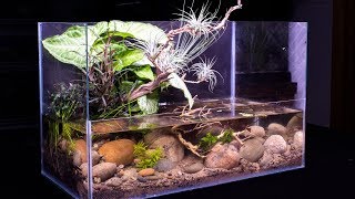 DIY Pond Themed Nano Riparium [upl. by Nodnab]