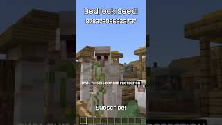 This Minecraft Bedrock Seed Has A Village That Wants To Get Colonized [upl. by Ikcin729]