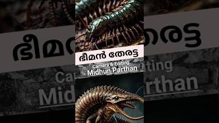 Arthropleura malayalamshorts shortvideo [upl. by Faye209]