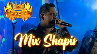 MIX SHAPIS ▶ LOS CLAVELES DE LA CUMBIA claveles cumbia [upl. by Seugram90]