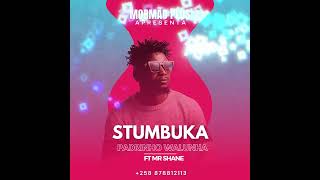 Stumbuka ft Mr Shane  Padrinho Walunha by Frecords [upl. by Jimmy]