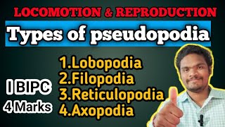 Types of pseudopodia in protozoa for IPE 4 Marks by Sagar zoologySAGAR12695 [upl. by Duj]