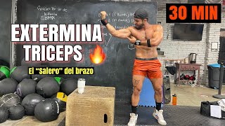 Extermina TUS TRICEPS En Casa 30 Minutos Rutina de TRICEPS SIN EQUIPO [upl. by Akcirahs]