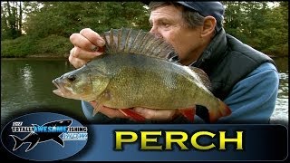 GIANT RIVER PERCH Fishing with Graeme Pullen Series 1  Episode 14  TAFishing [upl. by Florentia]