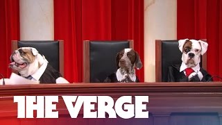 John Olivers alldog Supreme Court argues Aereo [upl. by Beltran820]