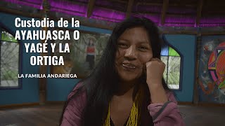 ¿QUÉ ES Y PARA QUE SIRVE LA AYAHUASCA O YAGÉ La Familia Andariega del Putumayo [upl. by Akciret]