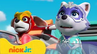 Paw Patrol  La Squadra dei Cuccioli  Missioni Fuoco e Ghiaccio dei Mighty Pups  Nick Jr Italia [upl. by Waxman]