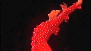 flamenco baile de Lalo Tejada y Lebrijano con orquesta andalusi de Tanger Paris 1988 [upl. by Tracie918]