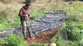 Permacultura mejorando el suelo mediante abonos verdes y sin labrar [upl. by Soiritos]