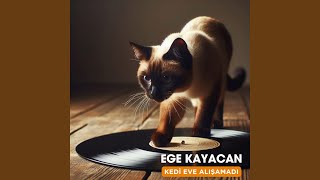 Kedi Eve Alışamadı [upl. by Merola]