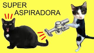 Gatos Luna y Estrella estrenan la nueva aspiradora Dreame V11  Videos de gatitos [upl. by Nevag]