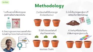 Presenting of mini project on the topic of acidity and base effect on the growth of mung beans [upl. by Guilbert]