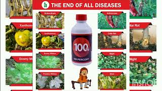 100 Solution for Fungal amp Bacterial Diseases  बैक्टीरियल ब्लाइट का 100 कंट्रोल  Huntin Organics [upl. by Adiarf]