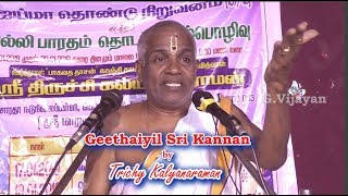 Geethaiyil Kannan  Trichy Kalyanaraman  கீதையில் கண்ணன் Villi Bharatham  ஜீவாத்மா  பரமாத்மா [upl. by Joses416]