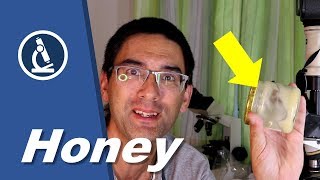 🔬 054 How to look at HONEY under the microscope  Microscopy [upl. by Horlacher]