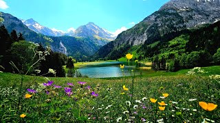 Hiking amp exploring the lovely hidden swiss lake Lauenensee Switzerland❤️🇨🇭💕2023 [upl. by Attennot152]