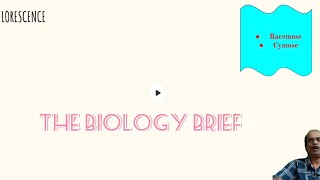 UNDERSTAND INFLORESCENCE IN JUST 10 MINUTES sureshb9256 biology morphologyoffloweringplants [upl. by Ahsiral278]