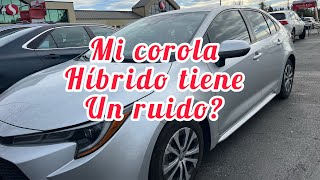 Mi COROLA HÍBRIDO 2020 Tiene Este Problema🧐Híbridos Mejores Que Los ELÉCTRICOS 100 garantizado [upl. by Shaeffer]