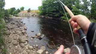 Salmon fishing on River Alness in Scotland [upl. by Glenna]