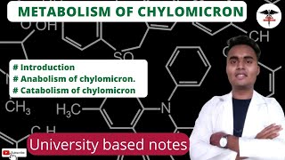 Metabolism of chylomicron  anabolism and catabolism of chylomicron  apoproteins [upl. by Tenenbaum]