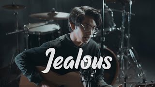 Jealous  Labrinth Cover by Tereza [upl. by Hplodur]