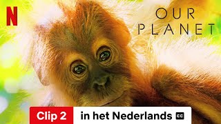 Our Planet Seizoen 1 Clip 2 ondertiteld  Trailer in het Nederlands  Netflix [upl. by Keppel]