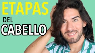 COMO TENER EL CABELLO LARGO DIFERENTES ETAPAS DEL CABELLO  JM Montaño [upl. by Kenrick430]