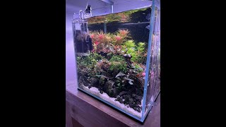 25cm Cube Nano Tank Progress [upl. by Chaddie]