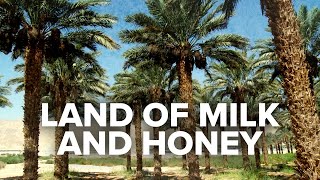 Biblical Prophecy is Being Fulfilled in the Land of Milk and Honey  Jerusalem Dateline [upl. by Gardy]