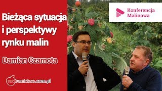 Bieżąca sytuacja i perspektywy rynku malin  Damian Czarnota  Konferencja Malinowa  Agrosimex 2020 [upl. by Almund]