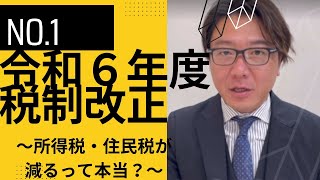 令和6年度税制改正大綱【個人所得課税編】 [upl. by Lane]