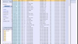 SAP Financial Accounting [upl. by Kenimod16]