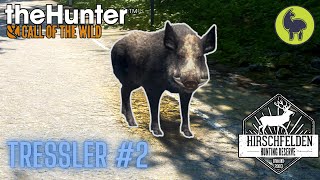 Tressler 2 Hirschfelden  theHunter Call of the Wild PS5 4K [upl. by Avehs51]