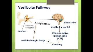 Anticholinergic DrugsPart 1ParasympatholyticsAtropineDrugs acting on ANSPharmacology [upl. by Yaker]