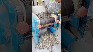 Sunflower seed shell separator Good tools and machinery can increase work efficiency [upl. by Lokcin]