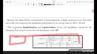 Electrotherapy llL2  part 3 [upl. by Pearl]