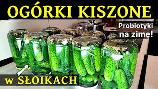 186 –Przepis na OGÓRKI KISZONE w słoikach –Domowe przetwory na zimę Jak kisić ogórki Probiotyki [upl. by Cenac]