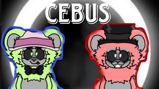 CEBUS WITH TSTboomzie [upl. by Lange]