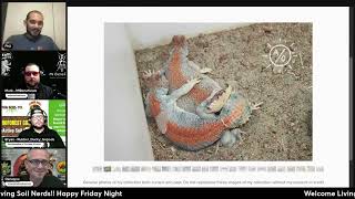 Ep 38  Bioactive Live QampA  Rearing Uromastyx and other Desert Arid Reptiles with aridsonly [upl. by Farnsworth]