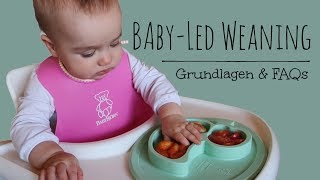 BabyLed Weaning BLW Der breifreie Beikostweg  Grundlagen amp FAQs [upl. by Rogergcam631]