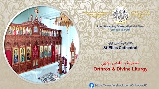 Sun June 02 2024  السحرية و القداس الإلهي Orthros amp Divine Liturgy [upl. by Dygall]