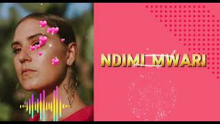 Gemma griffiths Ndimi mwari Lyrics Video [upl. by Anatnom]