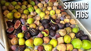 Storing Figs for Optimal Shelf Life Refrigerating Freezing amp Making Jam [upl. by Harol]