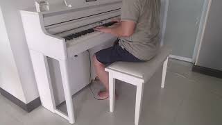 Richard Clayderman  Jardin Secret Cover [upl. by Adnyl]