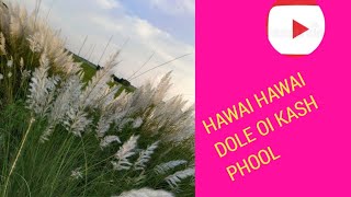 Hawai Hawai Dole Oi Kash Phool 💐🌺💐🌺 [upl. by Yenaj835]